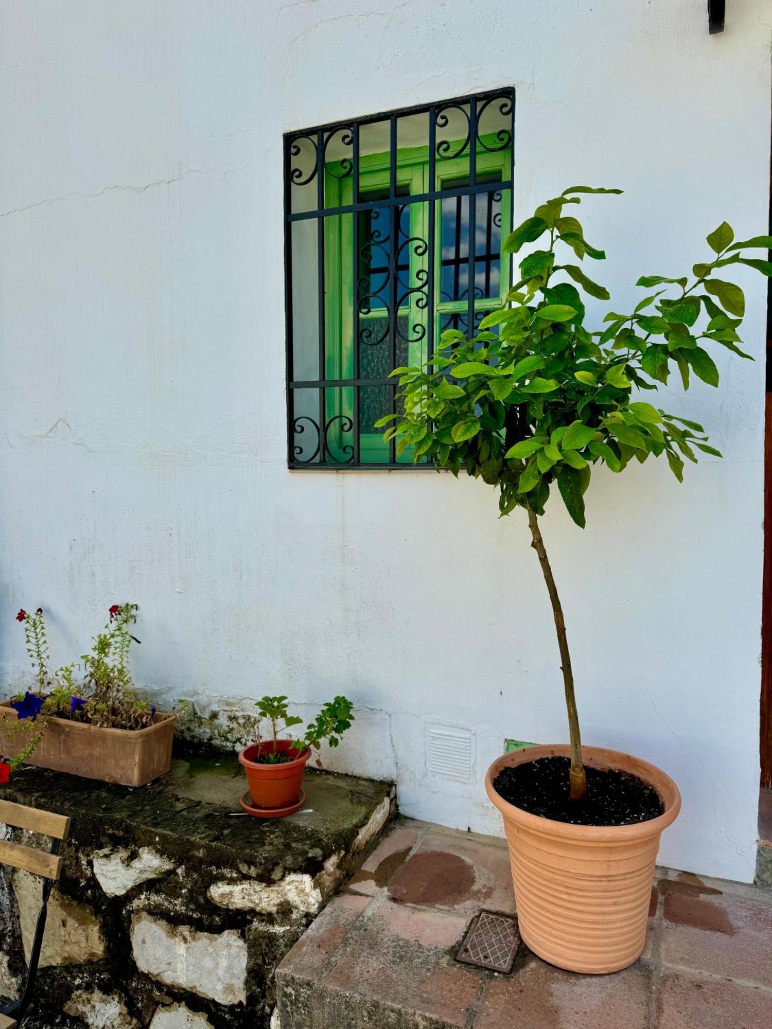 Willa Casa Leon Montejaque Zewnętrze zdjęcie